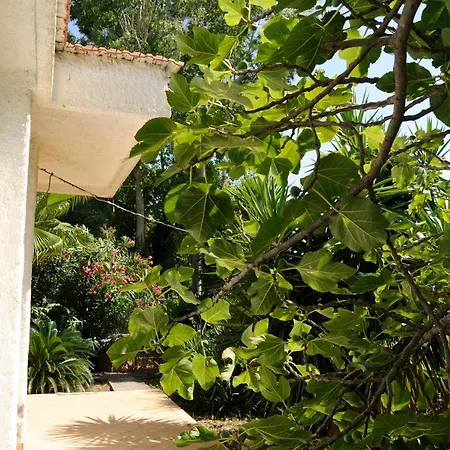 Prázdninový dům Bougainvillea Castel Volturno