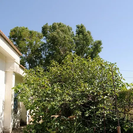 Prázdninový dům Bougainvillea *