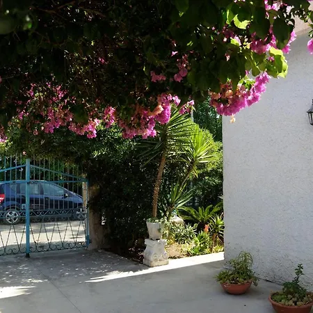 Bougainvillea Castel Volturno